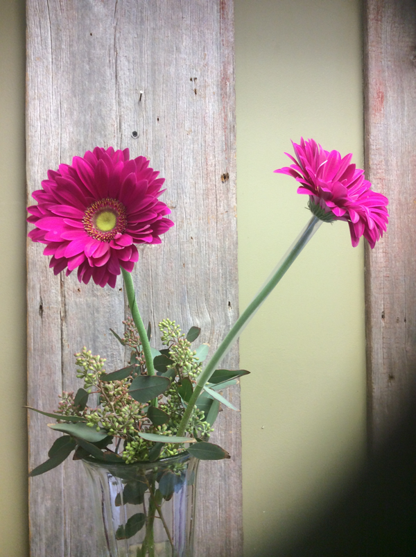 Gerbera Straw 600